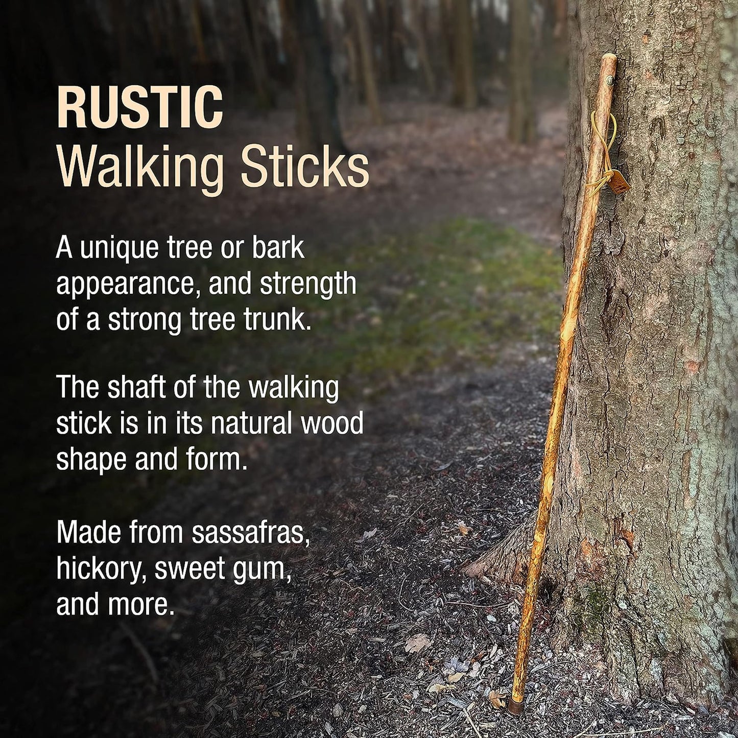 Brazos™ Assorted Hardwood Rustic Walking Stick, 41-Inch