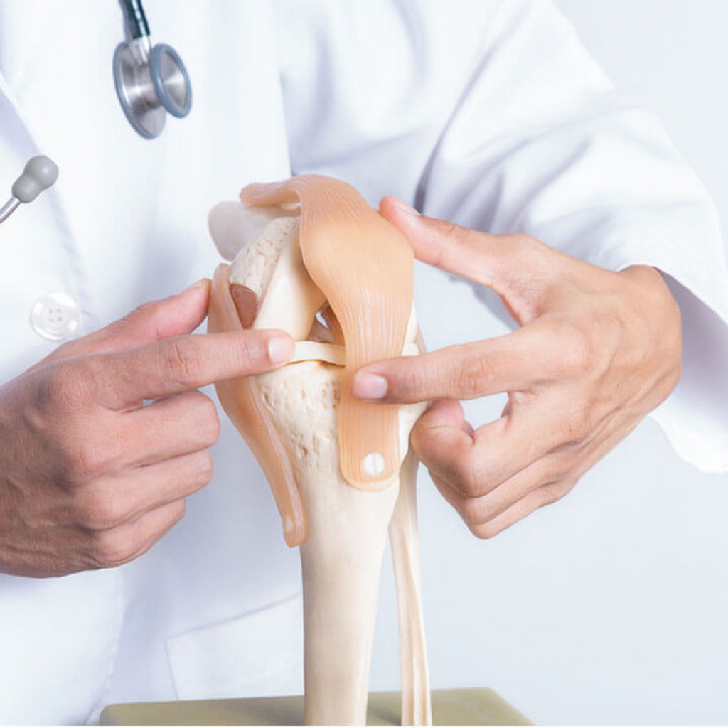 Orthopedic