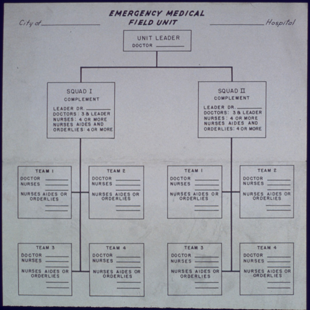 Medical Chart Poster