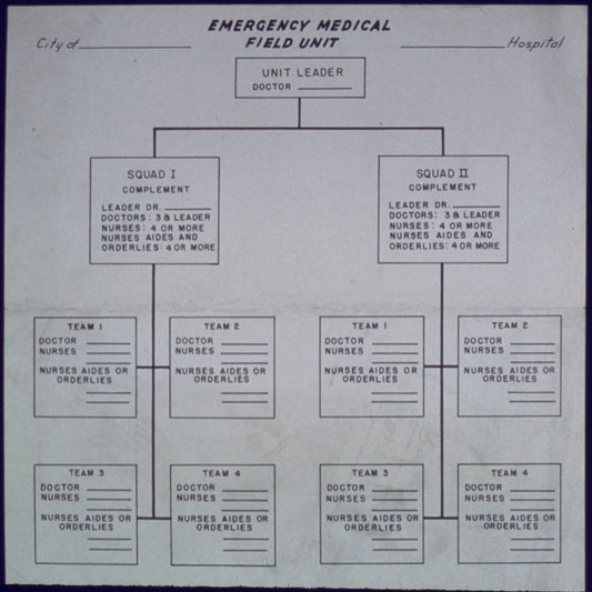 Medical Chart Poster