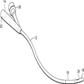 Foley Catheter