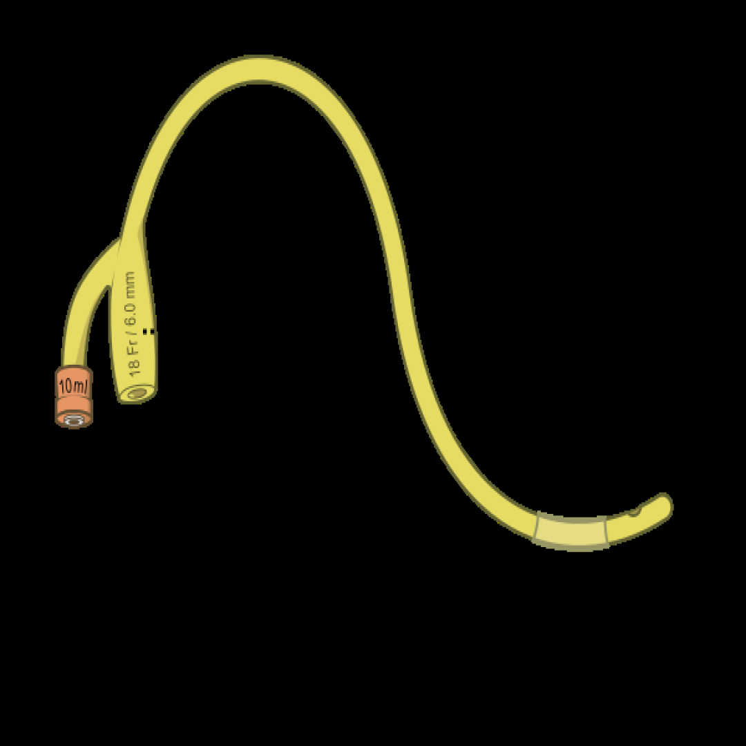 Foley Catheter