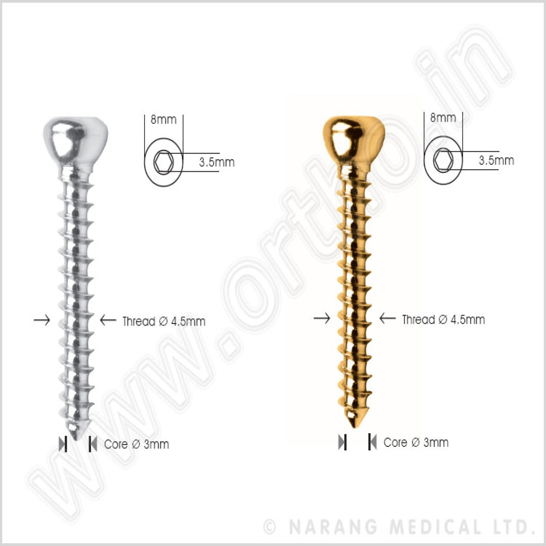 Bone Screw