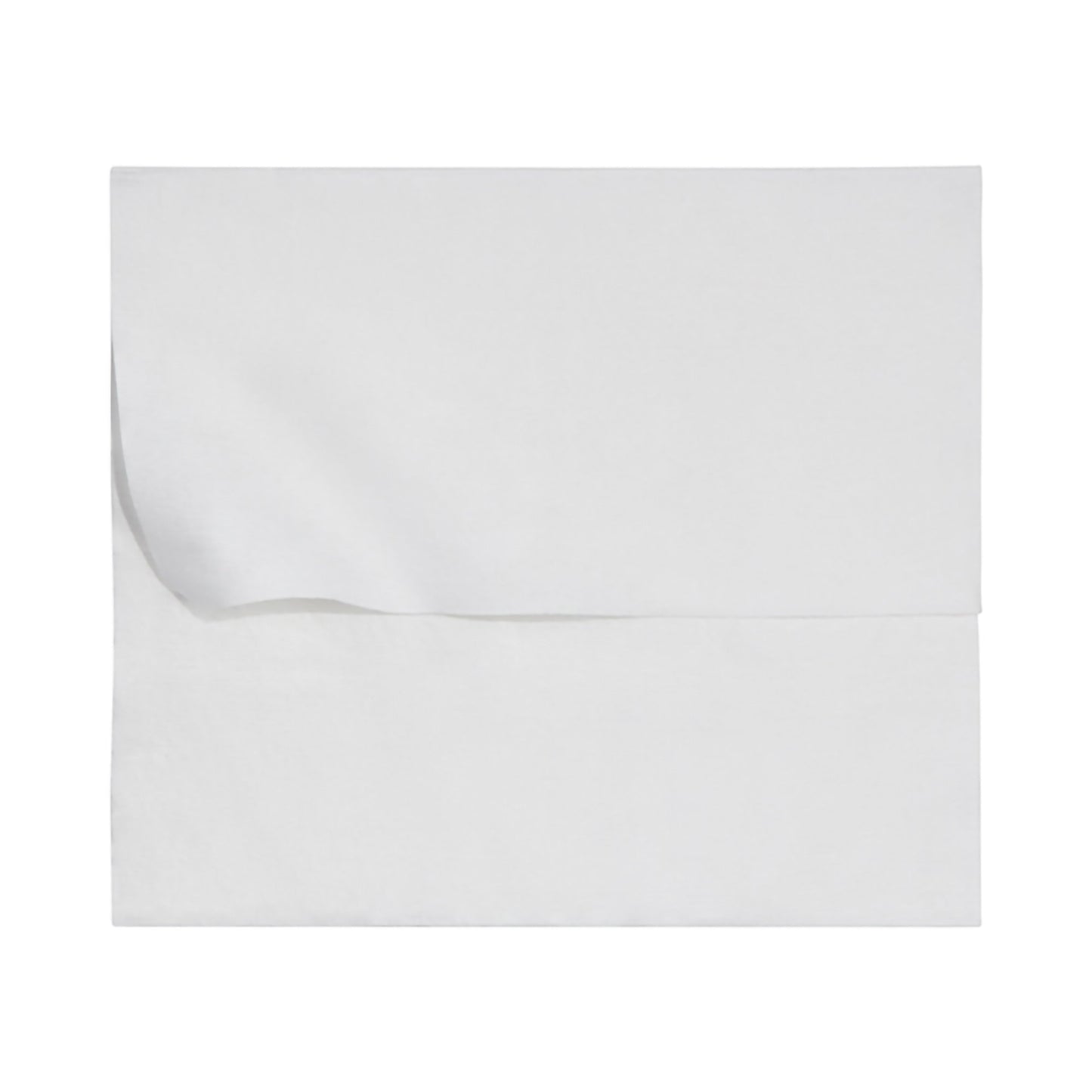 McKesson Flushable* Wet Wipes XL - Unscented, 48 Wipes per Pack