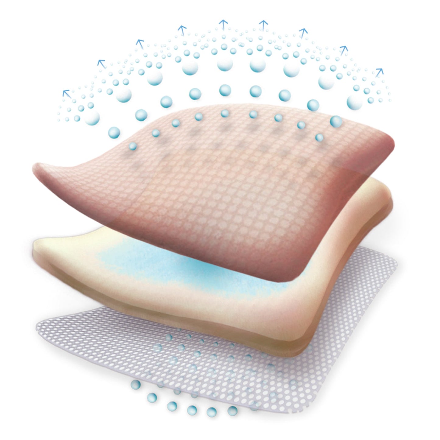 Allevyn Gentle Border Foam Dressing, 10 x 10 Centimeter