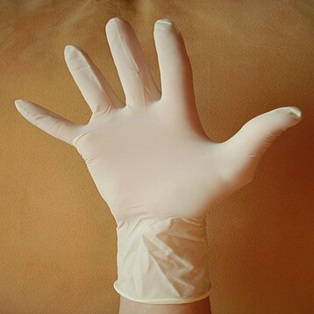Vinyl Gloves