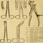 Surgical Scissors