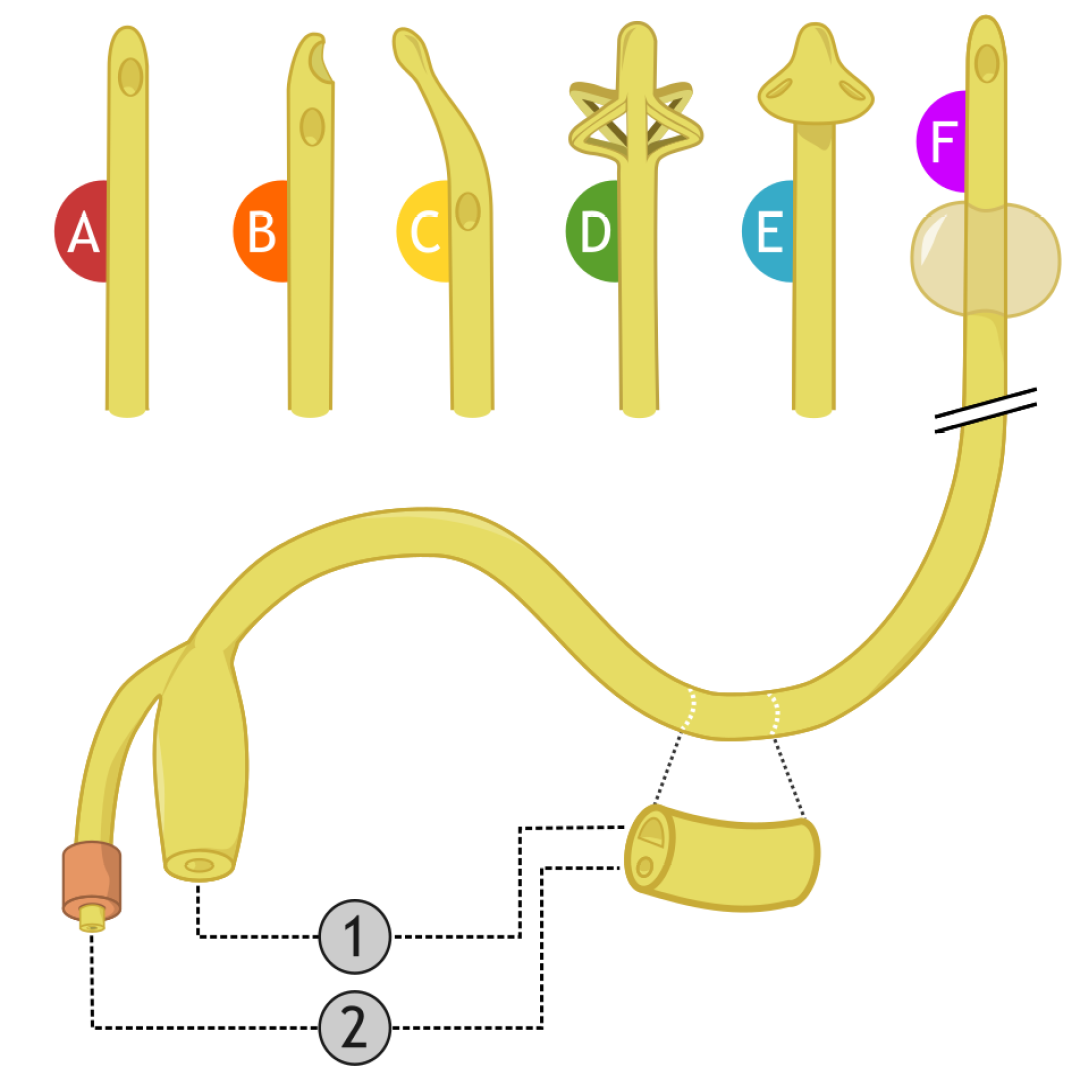 Foley Catheter