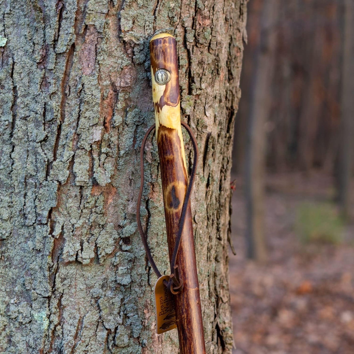 Brazos™ Hawthorn Rustic Walking Stick, 55-Inch Height