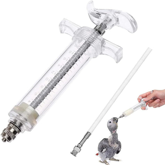Feeding Syringe