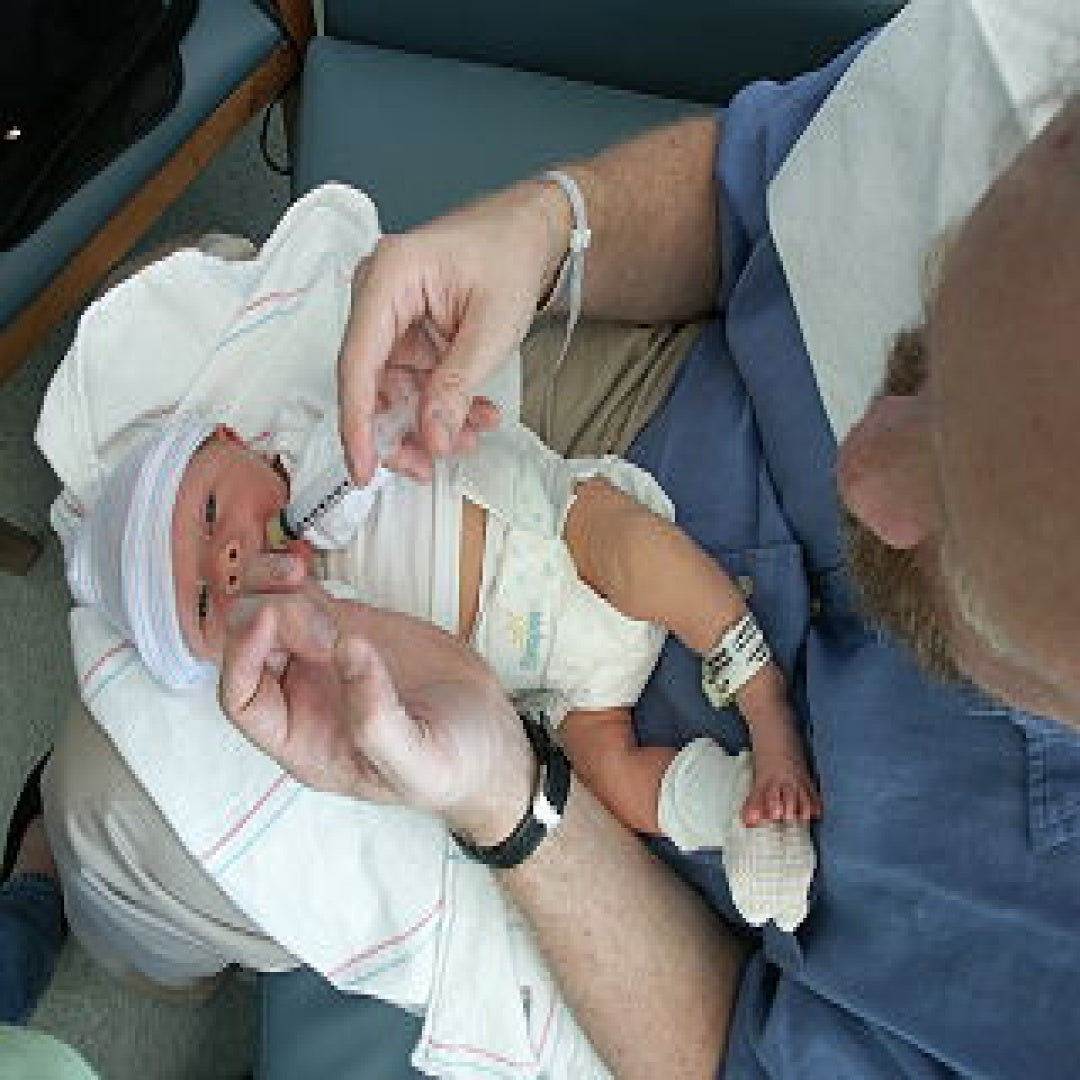 Feeding Syringe