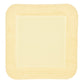 DermaLevin® Adhesive with Border Foam Dressing, 6 x 6 Inch